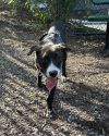 Becky - 25124 photo 6