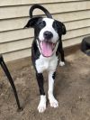 Jess - 25125 photo 1