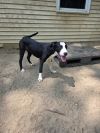 Jess - 25125 photo 6