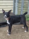 Kacey - 25126 photo 1