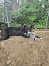 Kacey - 25126 photo 2