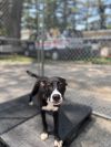 Kacey - 25126 photo 6