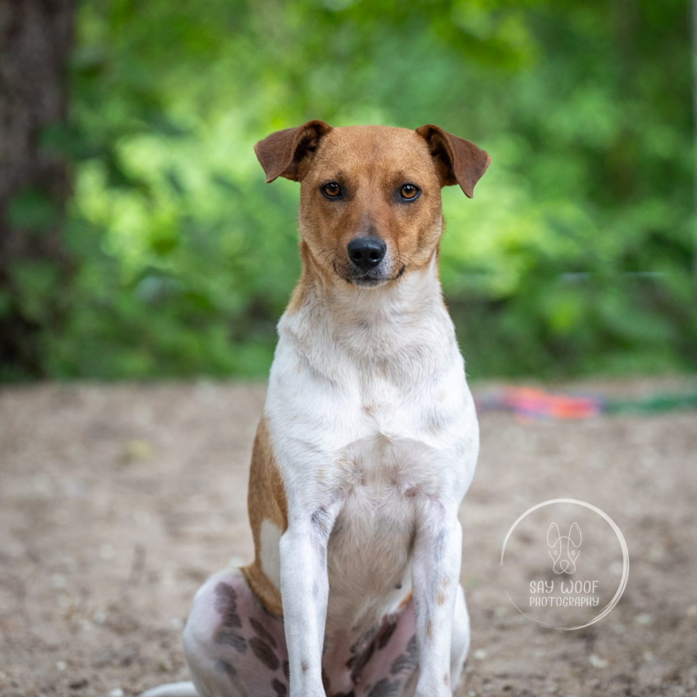 Lola - 25122