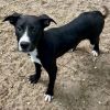 Danny - 25128 photo 6