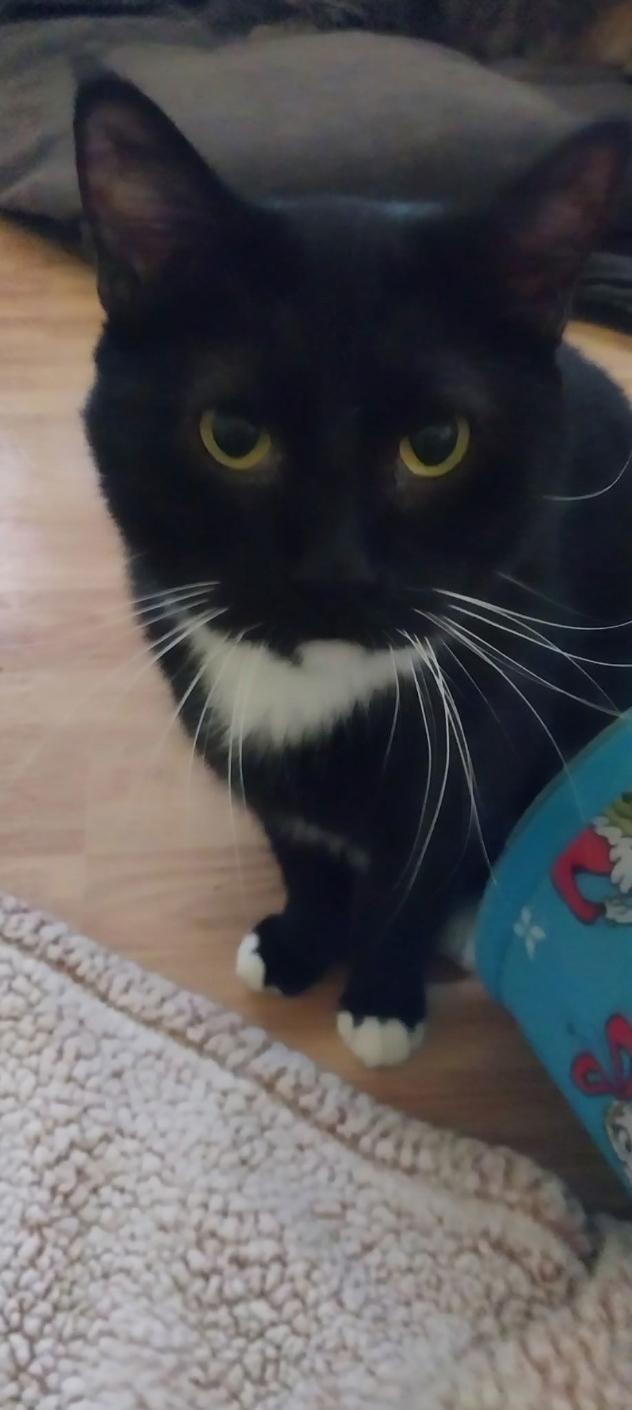 BIG BOY