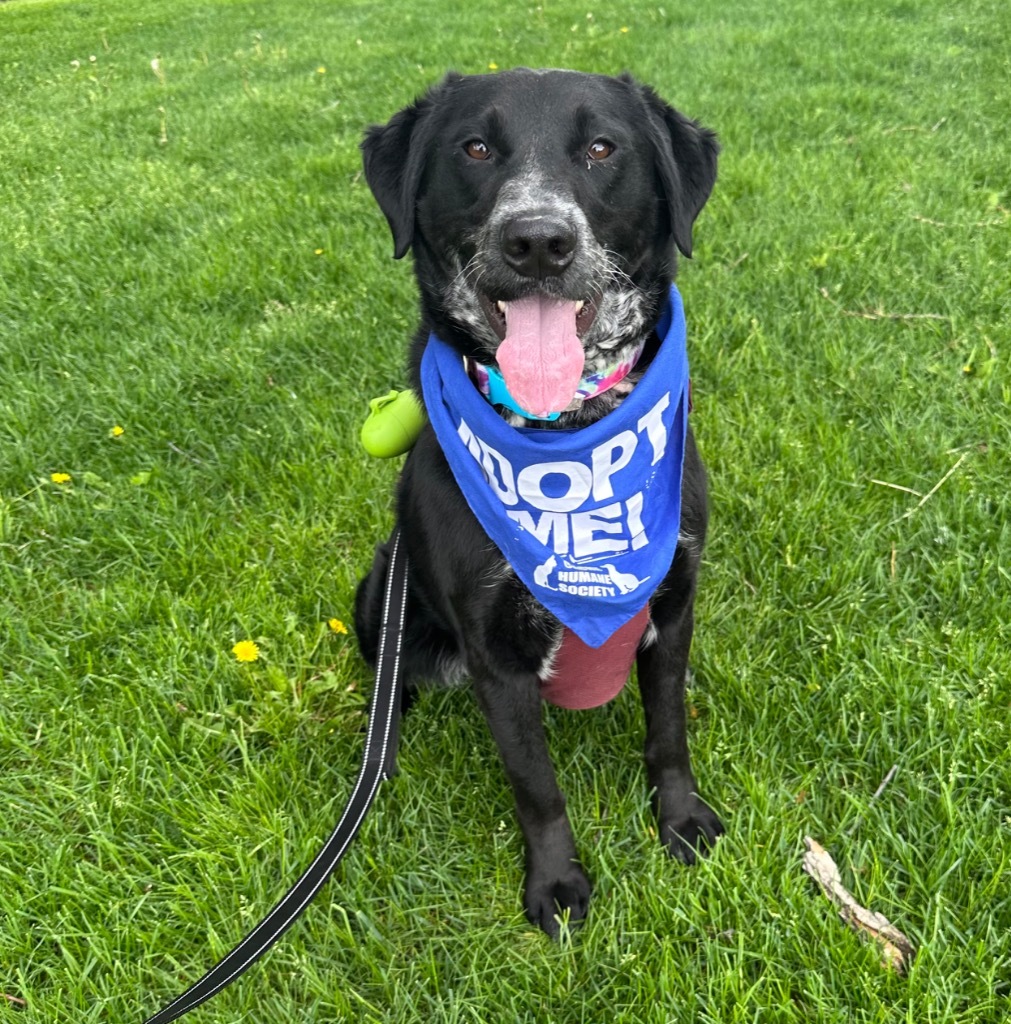 Gus