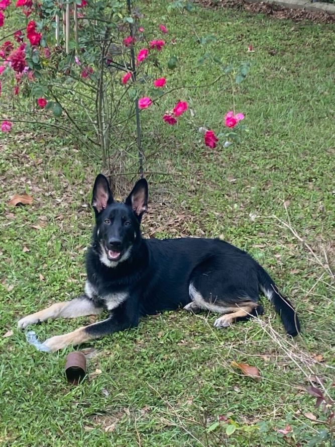 Max