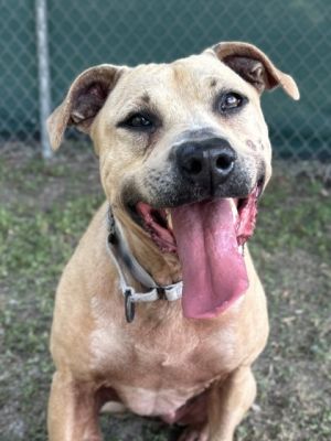 Jazz, Senior Female unknown