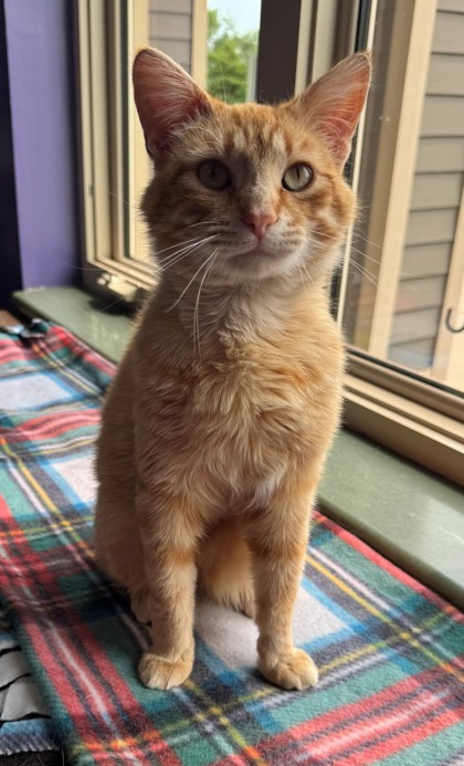 Judah
