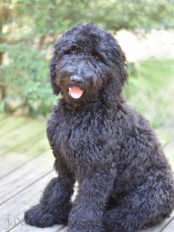 Jax
