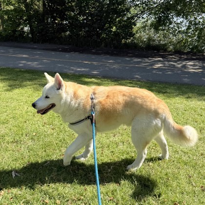 Yuki