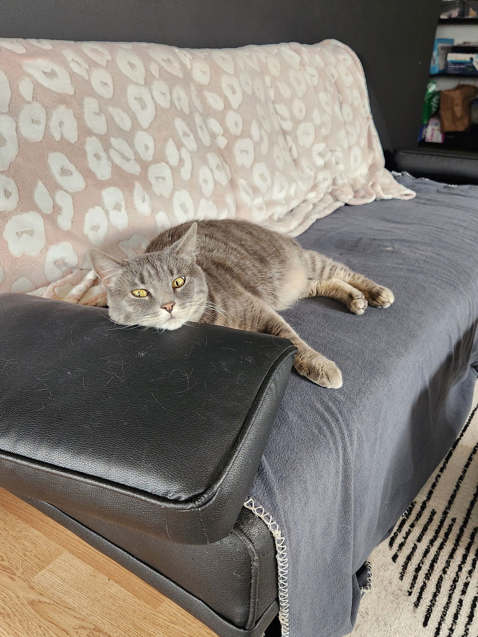 Gracie