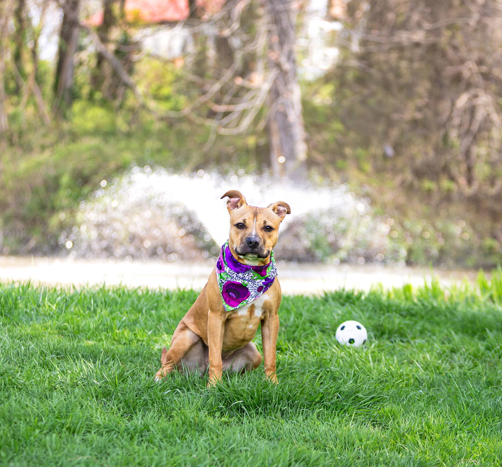 Penny