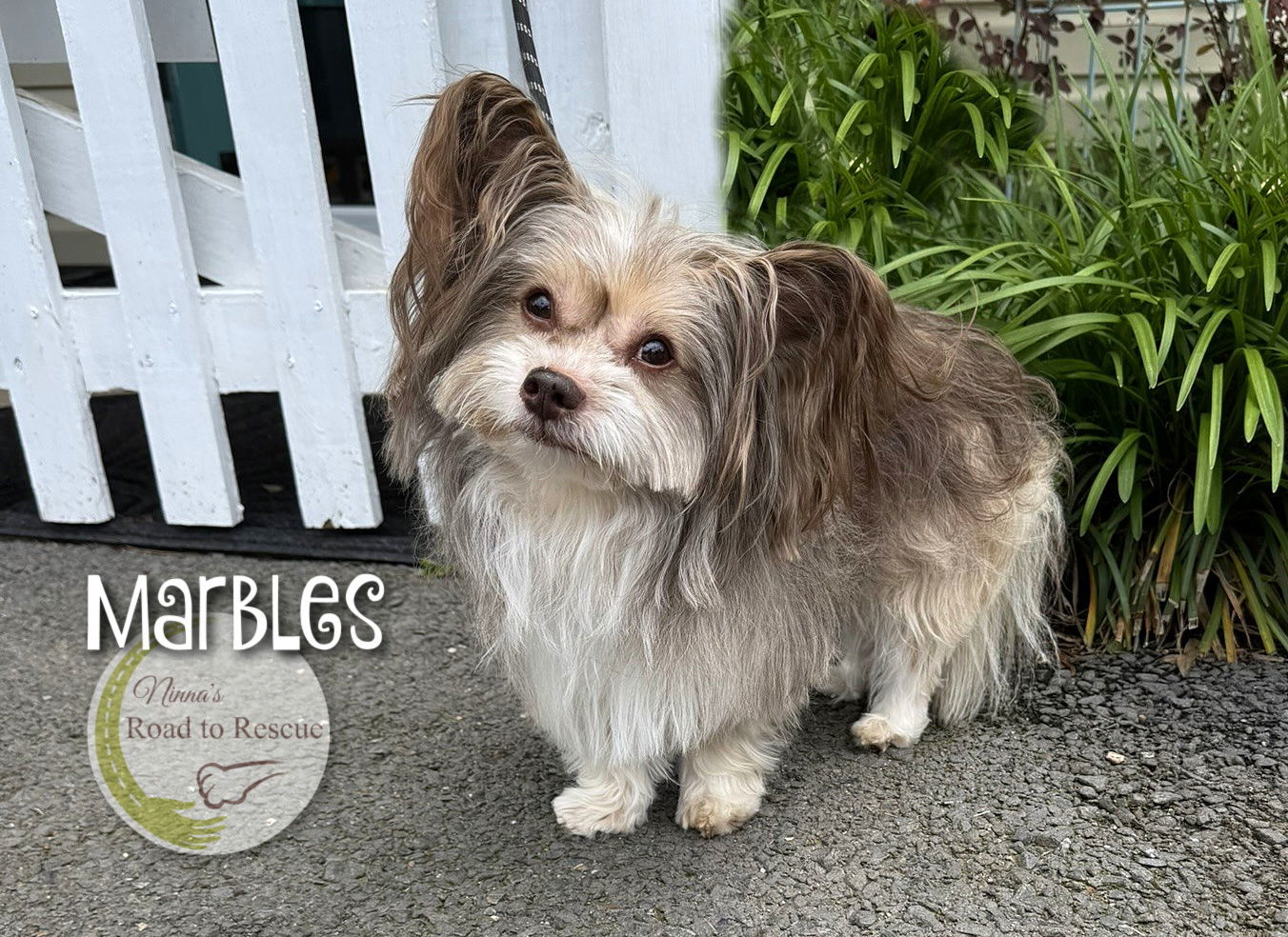Marbles