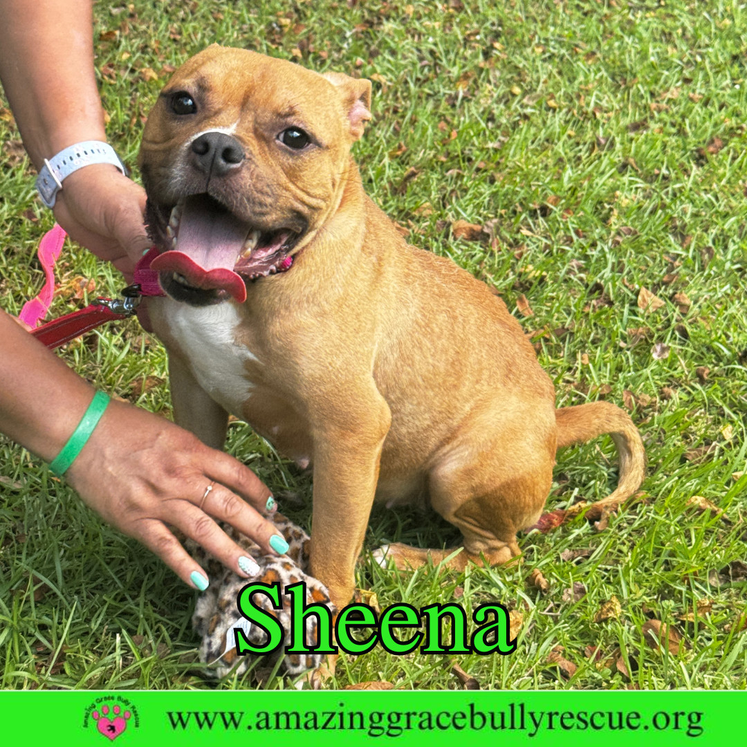 Sheena