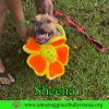 Sheena photo 2