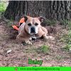 Baley akd Jelly Belly photo 2