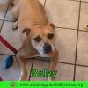 Baley akd Jelly Belly photo 3