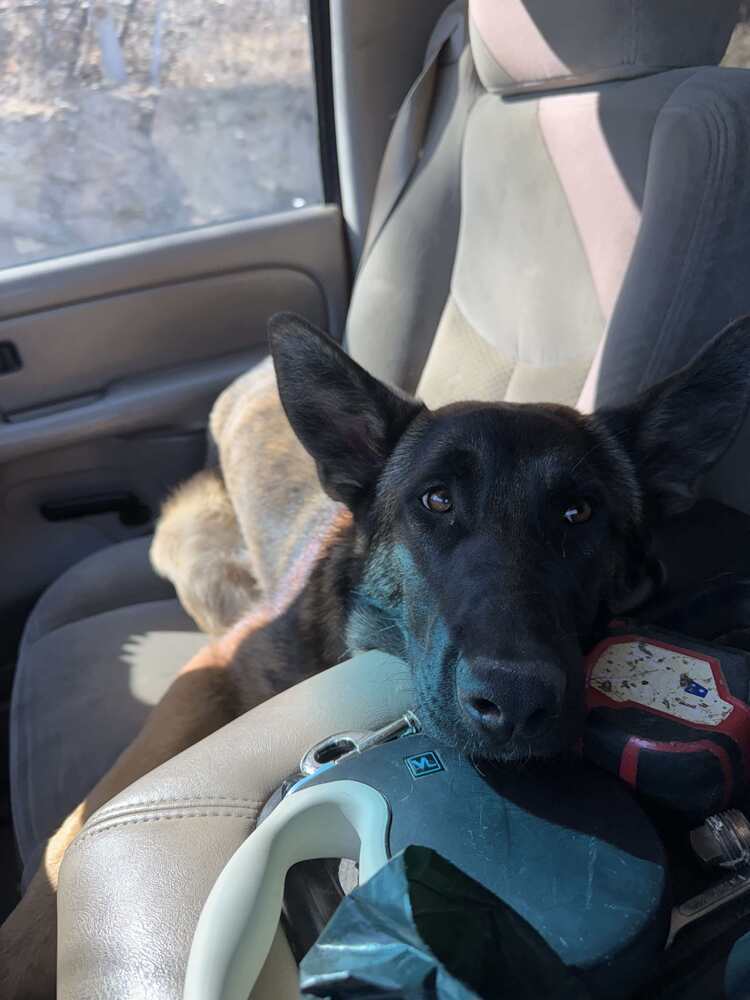 Tango- located in Colorado