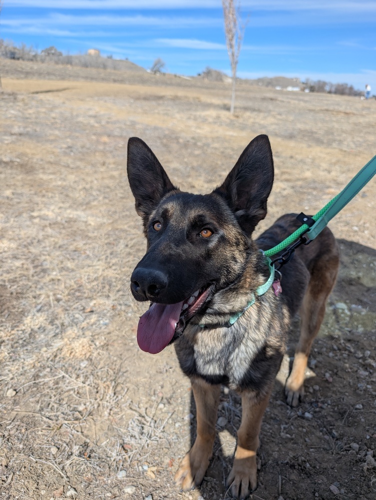 Tango- located in Colorado