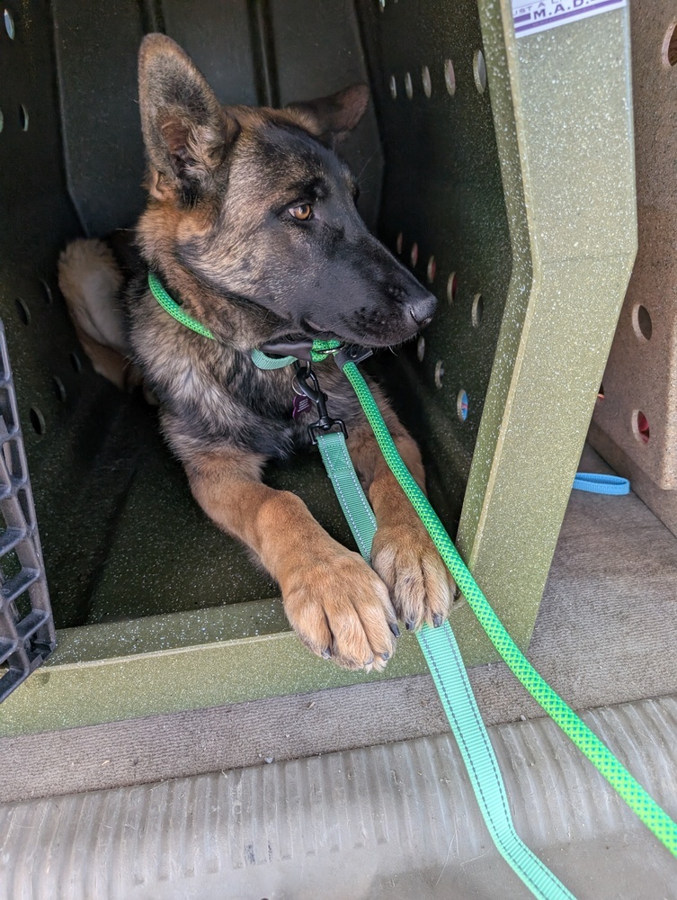 Tango- located in Colorado
