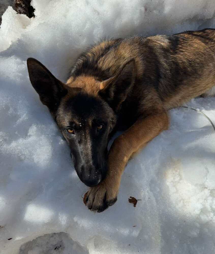Tango- located in Colorado