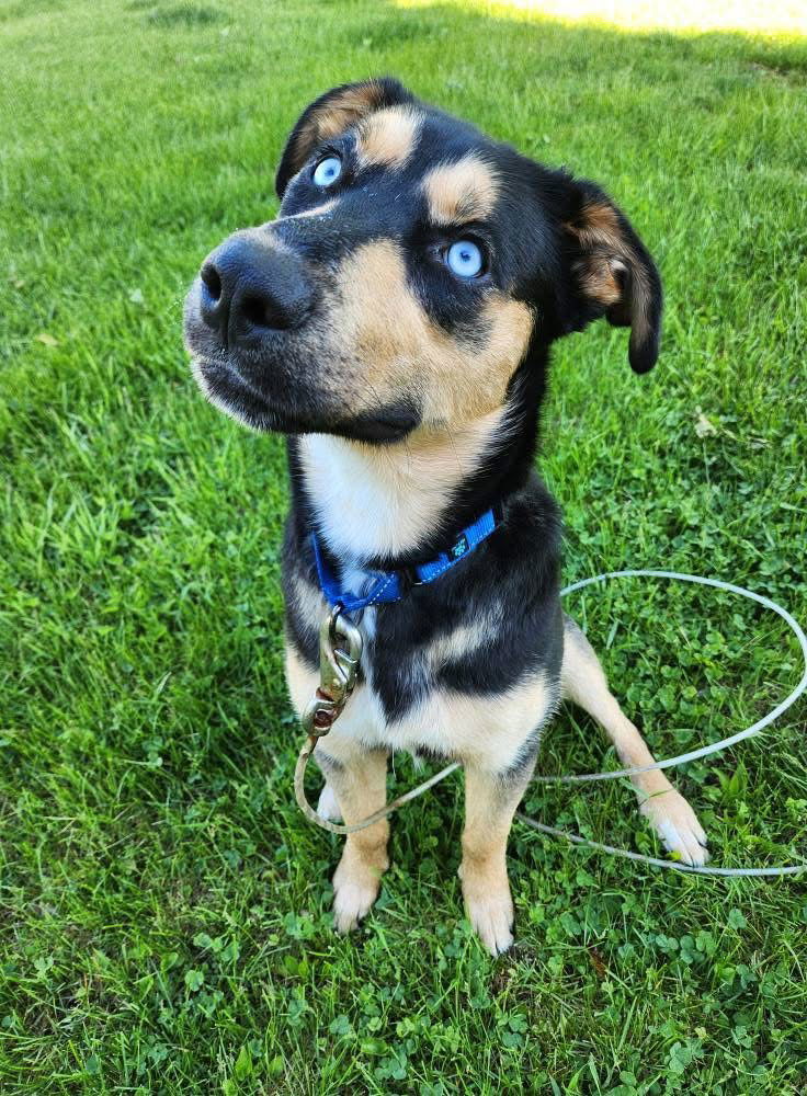 Luka