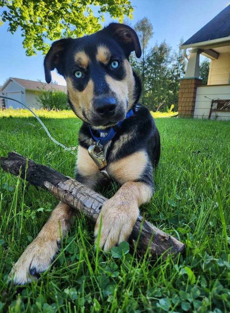 Luka