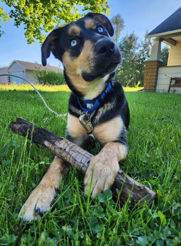 Luka