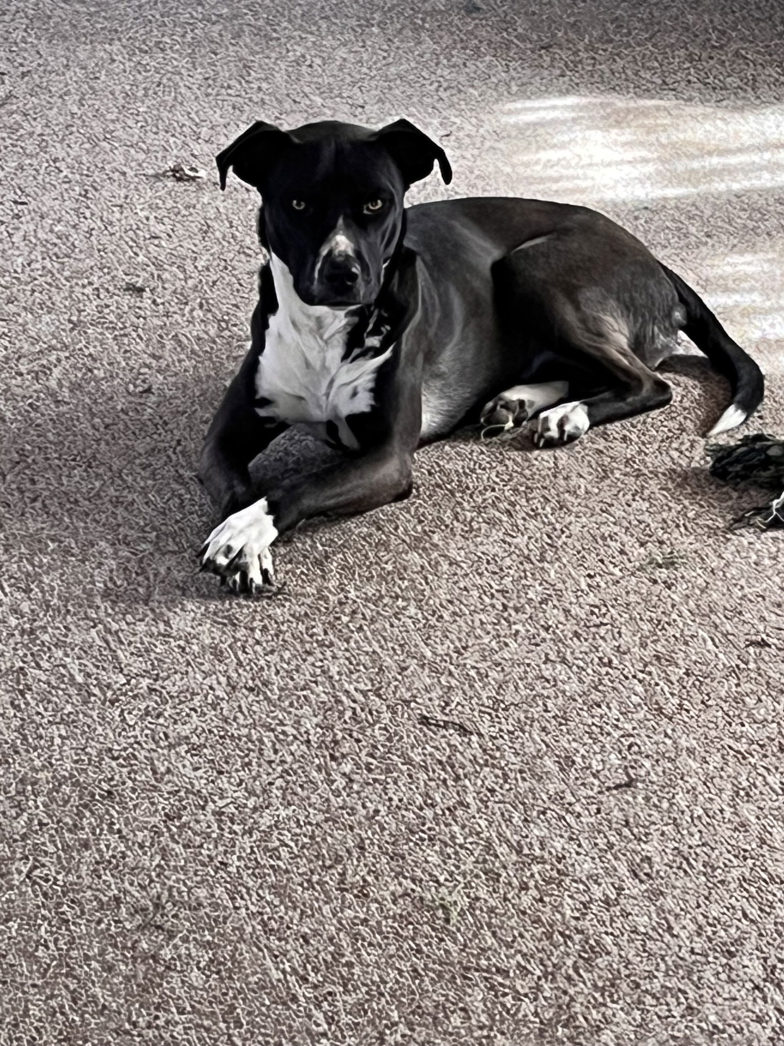 REMI #5