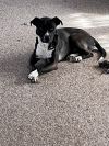 REMI #5 photo 1