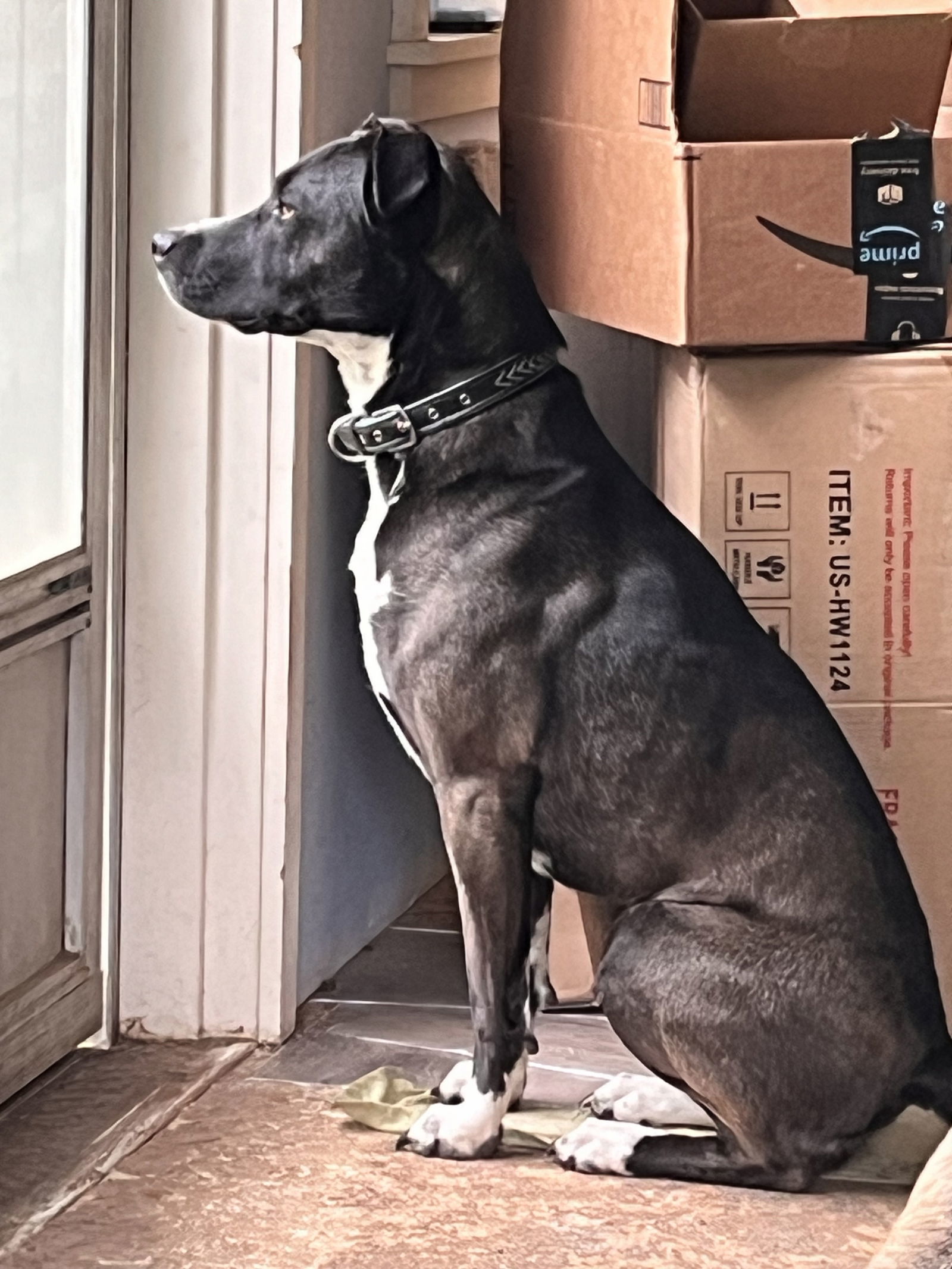 REMI #5