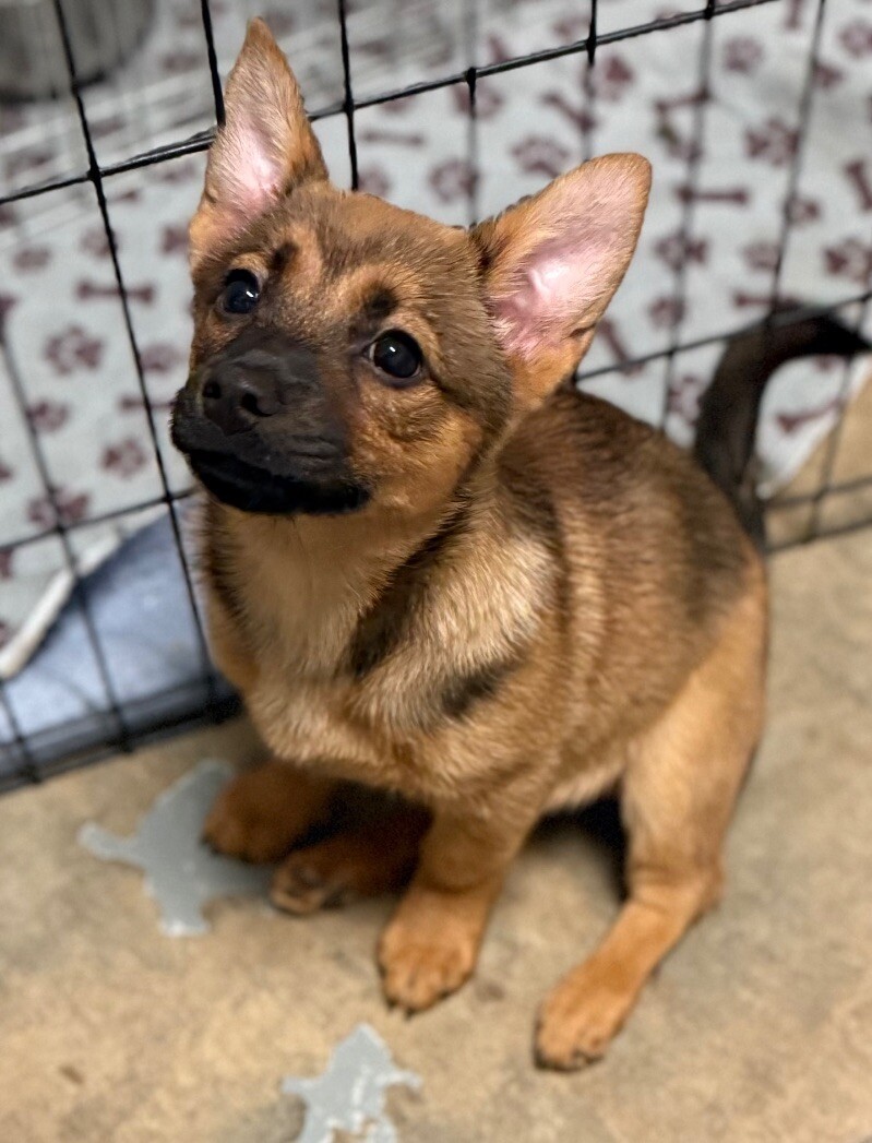 Tiny