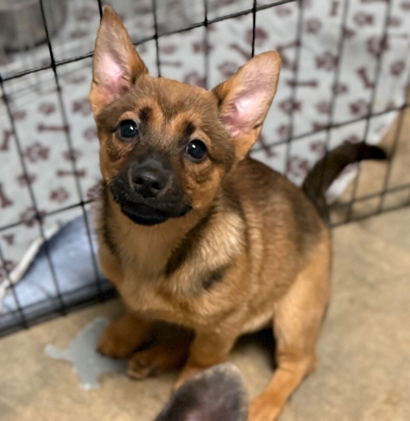 Tiny