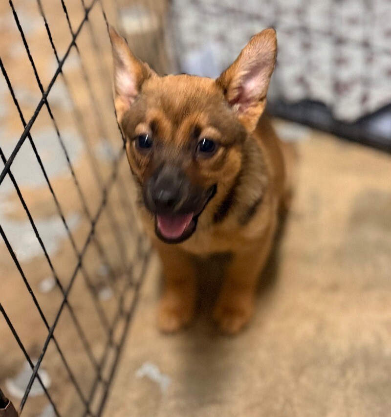 Tiny
