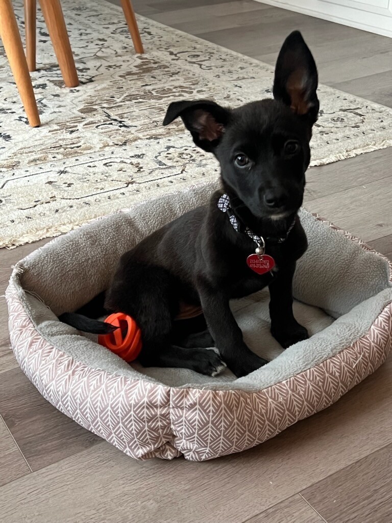 Little