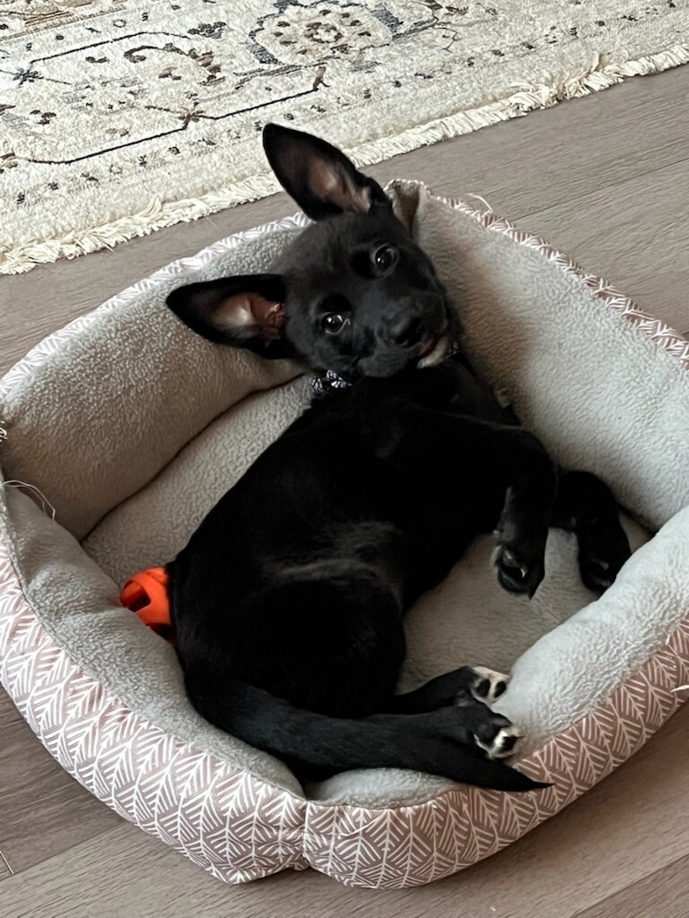 Little