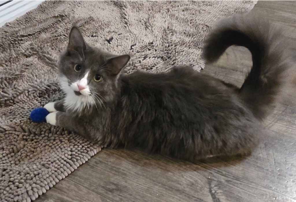 Merlin