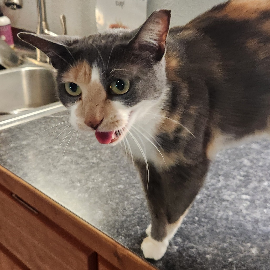 Cecelia
