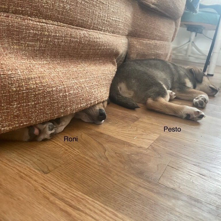 Pepperoni "Roni"