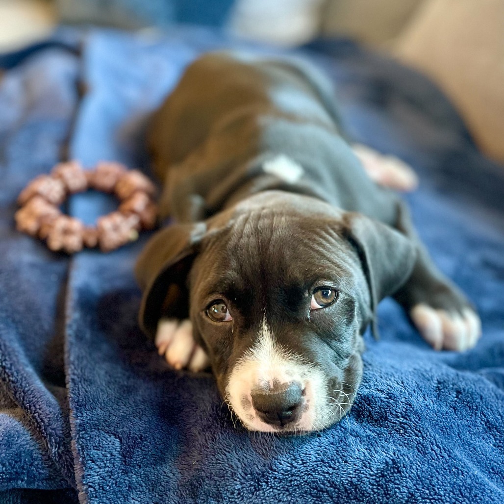 Ronan