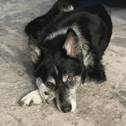 Ellie