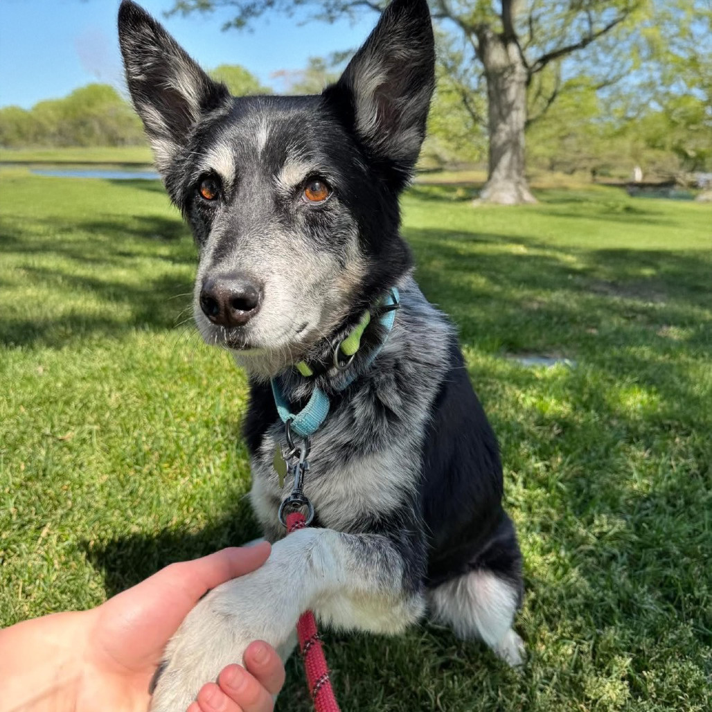 Ellie