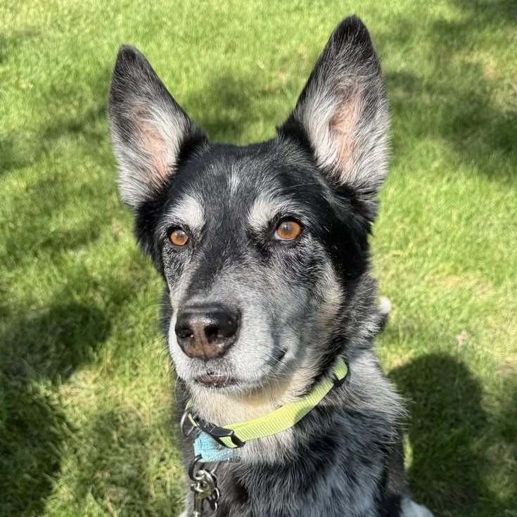 Ellie