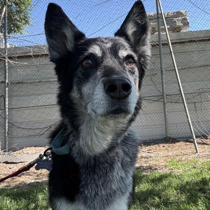 Ellie