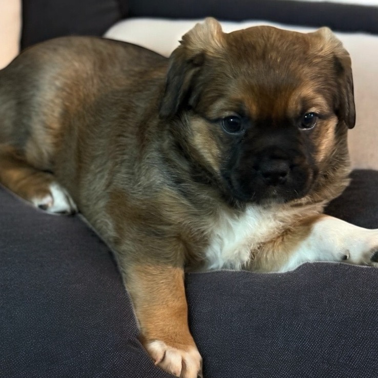 Maggie