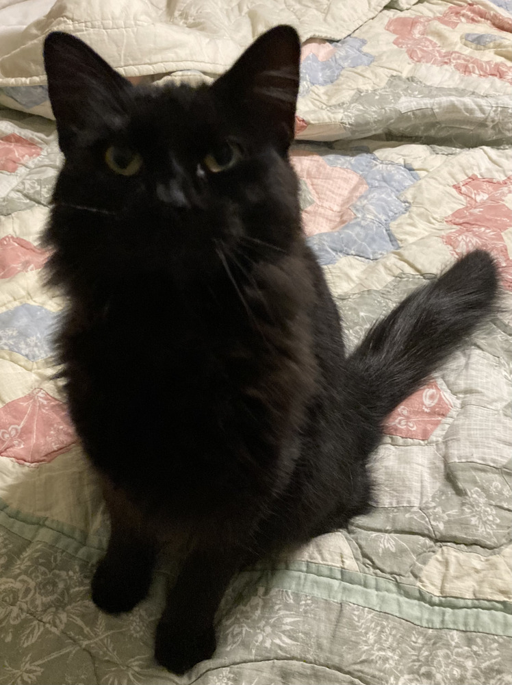 Sable AKA Snowflake