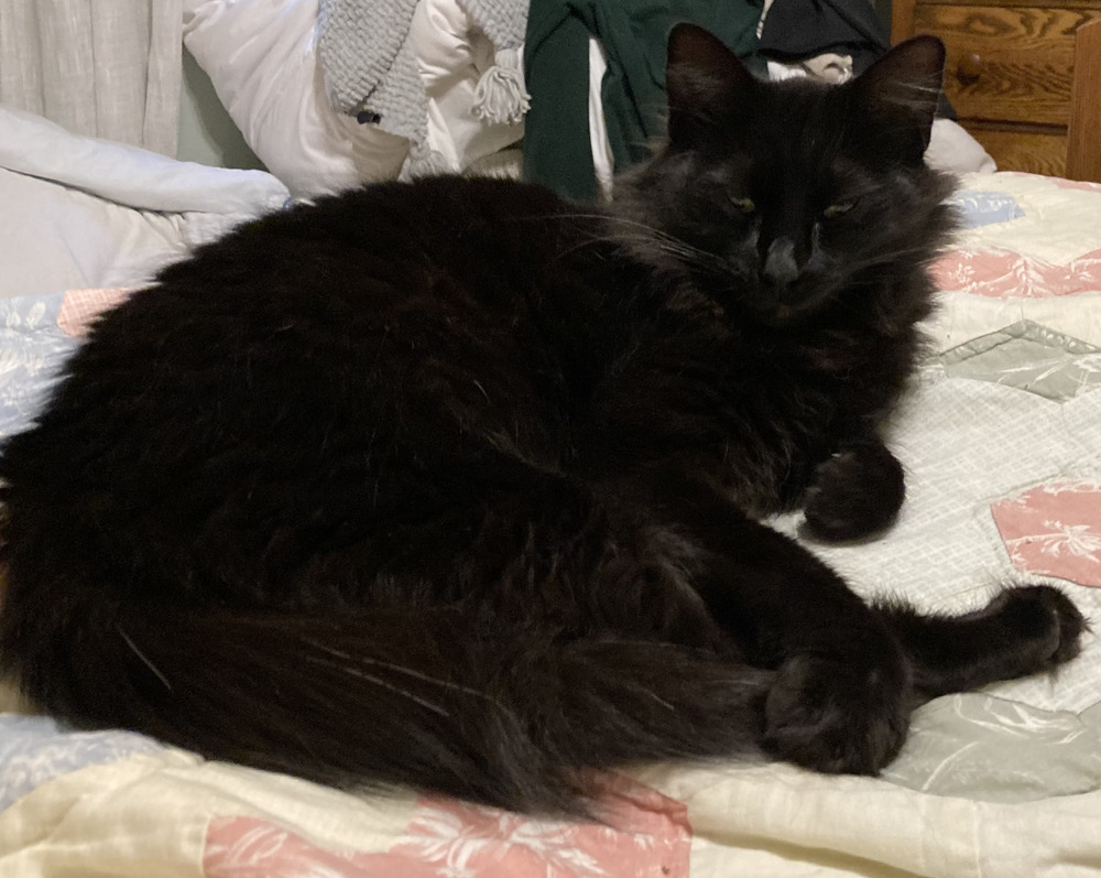 Sable AKA Snowflake