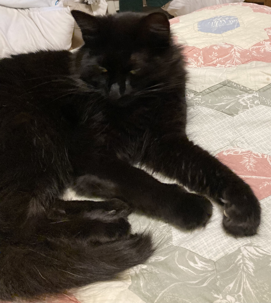 Sable AKA Snowflake
