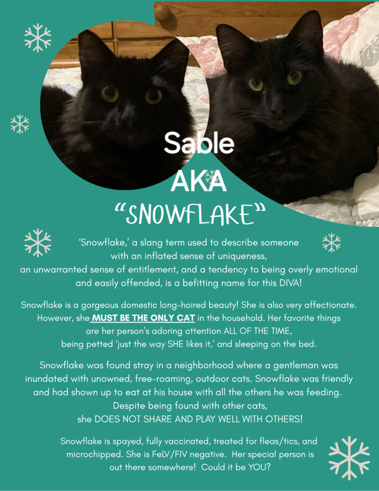 Sable AKA Snowflake